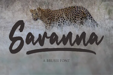 Savanna font