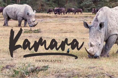 Savanna font