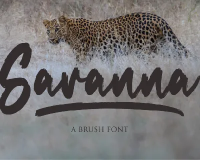 Savanna font