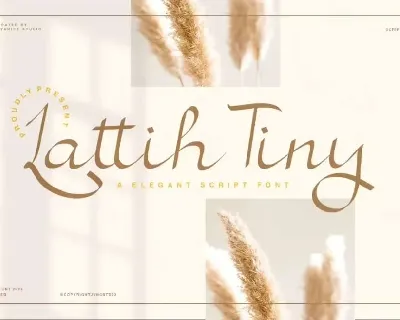 Lattih Tiny font