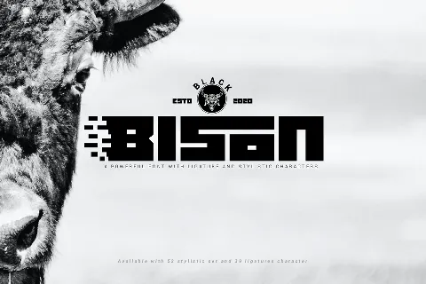 Black bison font