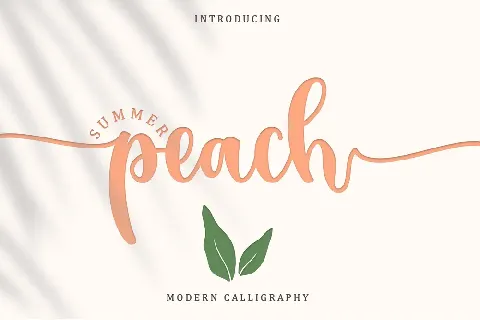 Summer Peach - Personal Use font