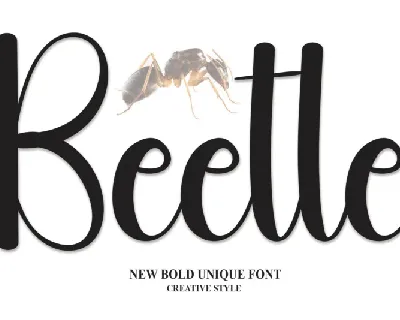 Beetle Script font