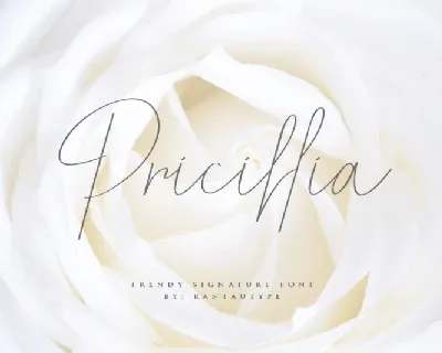 Pricillia Signature font