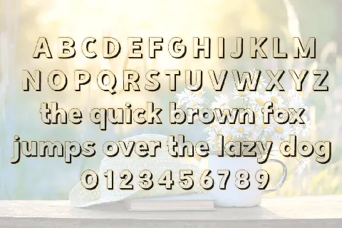 Summer in August font