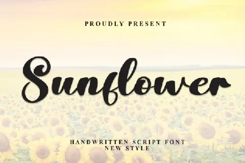 Sunflower Script Typeface font