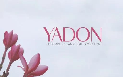 Yadon Sans Serif font