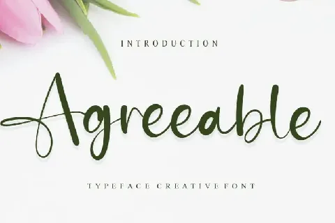 Agreeable Script font