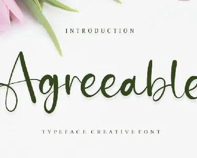 Agreeable Script font