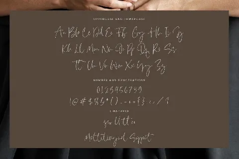 Villary Wisdom font