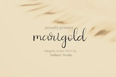 marigold font