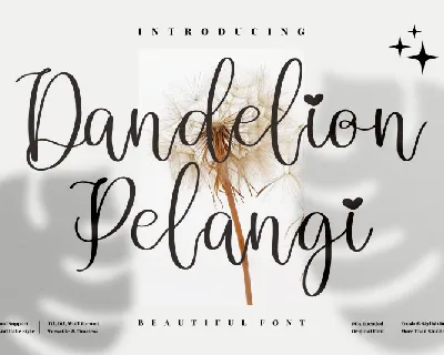 Dandelion Pelangi font