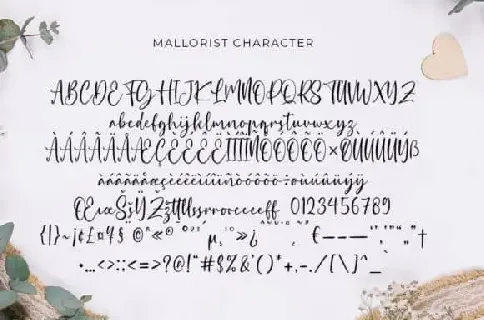 Mallorist Calligraphy font