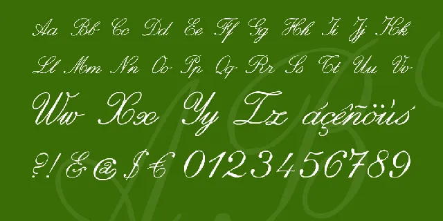 zai Italic Hand Calligraphy font