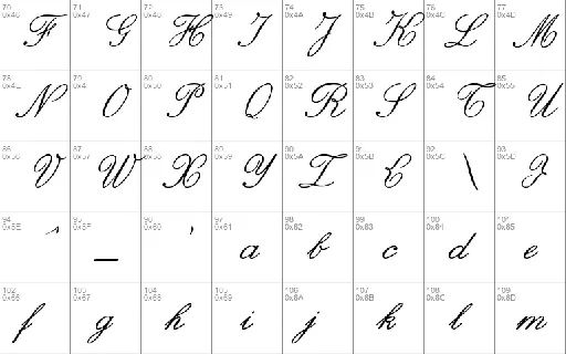 zai Italic Hand Calligraphy font