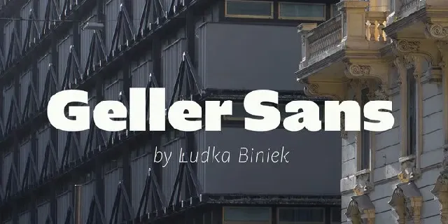 Geller Sans Family font