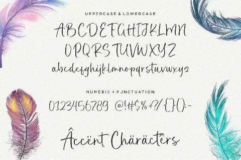 Realistic Feather font