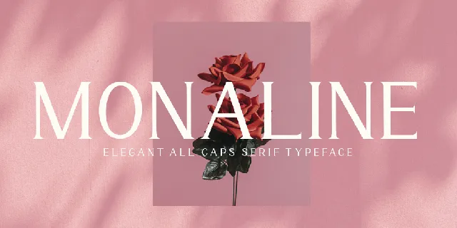 Monaline font