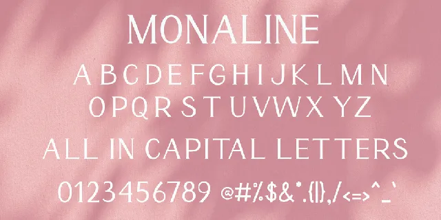 Monaline font