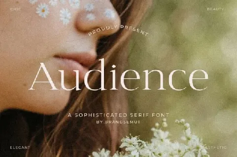 Audience font