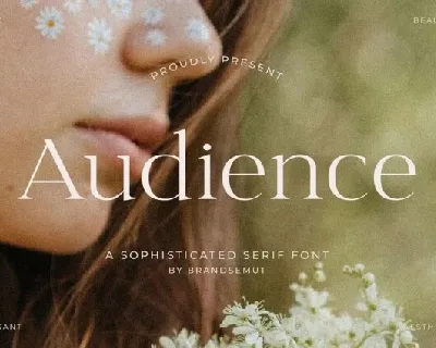 Audience font