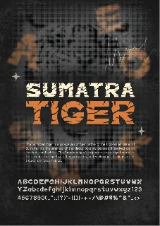 Sumatra Tiger font