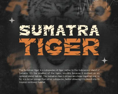 Sumatra Tiger font