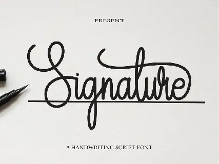 Signature Script Typeface font