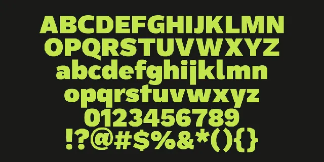 ZT Rayflo Trial font