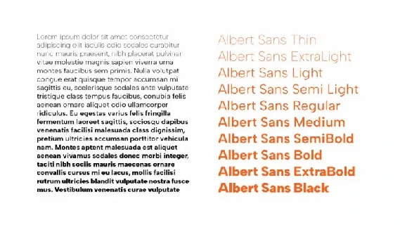 Albert Sans Family font