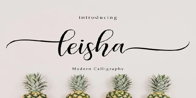 Leisha font