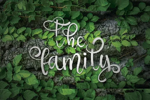 The Family font