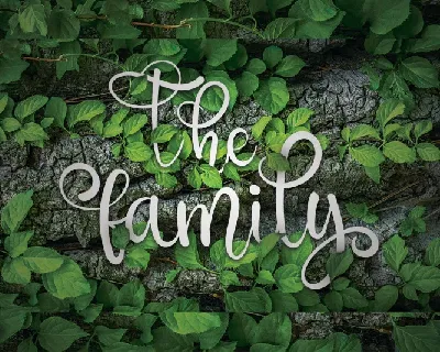 The Family font