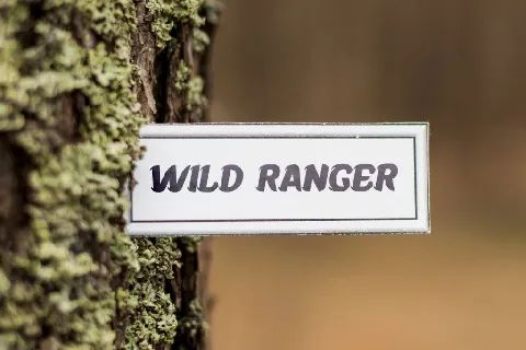 WildRangerDemo font