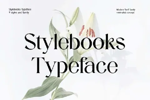 Stylebooks Typeface Family font