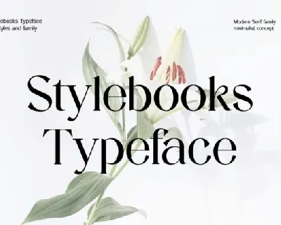 Stylebooks Typeface Family font