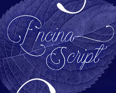 Encina Script 1 PERSONAL USE font