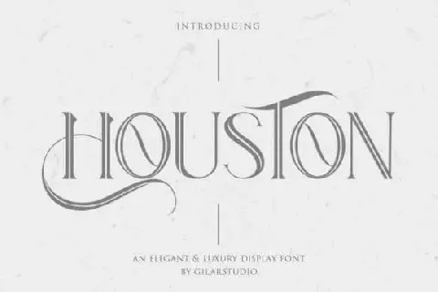 Houston Display font