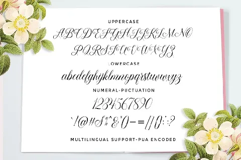 Beauty Queen font