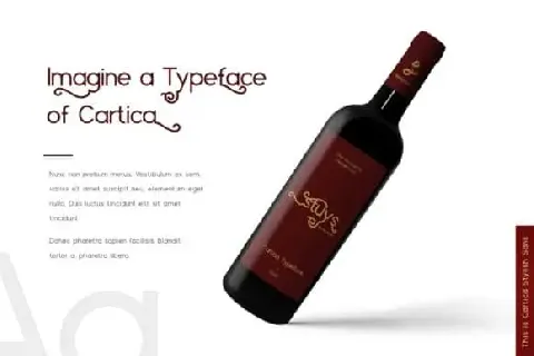 Cartica Sans Serif font