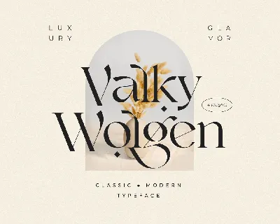 Valky Typeface font