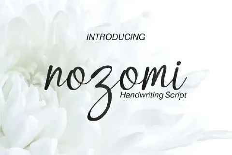 Nozomi Handwriting Script font