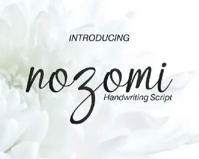 Nozomi Handwriting Script font