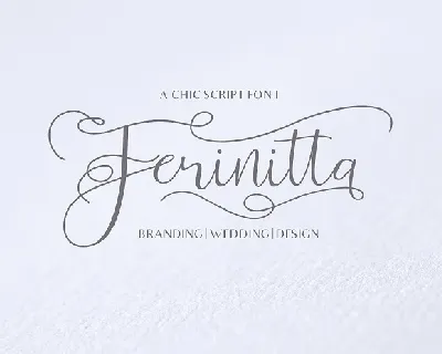 Ferinitta Calligraphy font