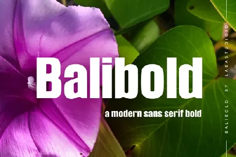 Balibold Sans Serif Typeface font