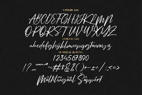 Amsterdam Signature Typeface font