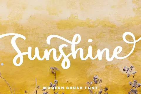 Sunshine Bold Handwritten Script font