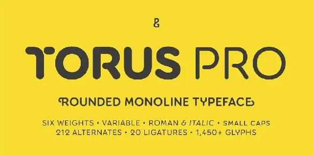 Torus Pro font