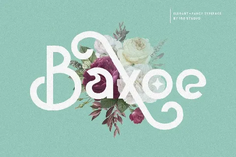 Baxoe Sans Fancy Typeface font