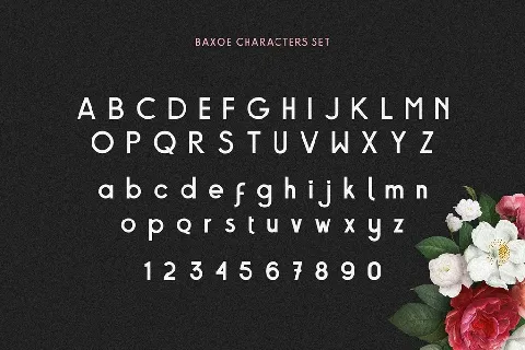 Baxoe Sans Fancy Typeface font